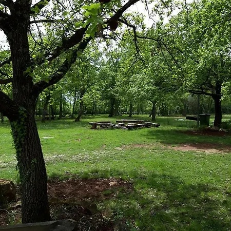 Bikers Camp Kamp alanı *