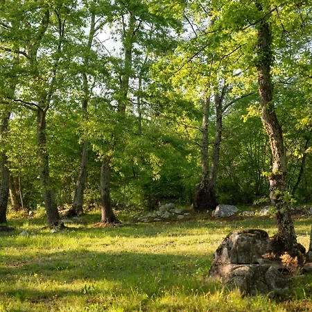 Bikers Camp * Porec