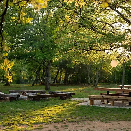 Campsite Bikers Camp Porec
