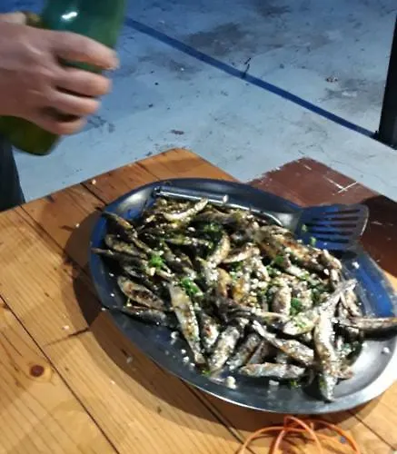 אתר קמפינג Bikers Camp *